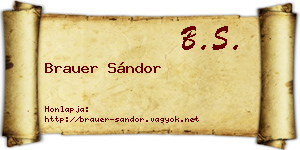 Brauer Sándor névjegykártya